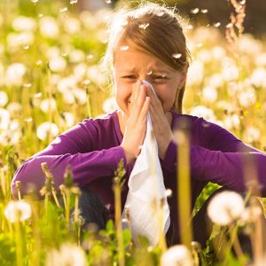 Girl with hayfever sneezing in a field of highly pollinating plants